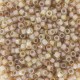 Miyuki delica Beads 11/0 - Beige lined opal ab DB-1731